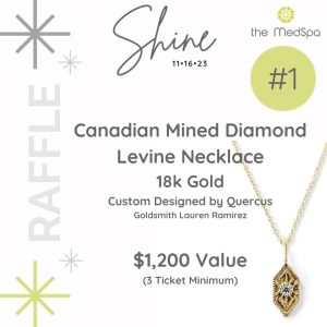 Shine Raffle #1 - Necklace